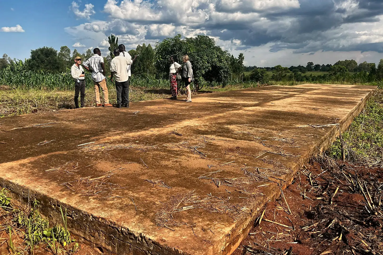 School foundation
