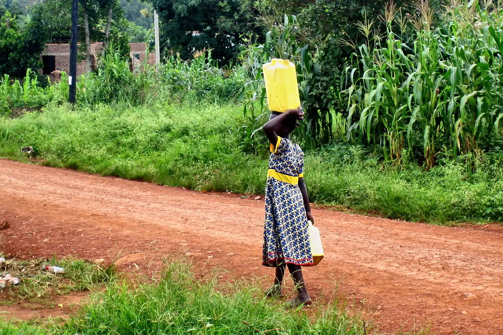Community well